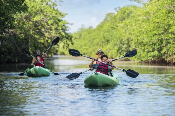 Family Kayaking at Matheson Hamock
